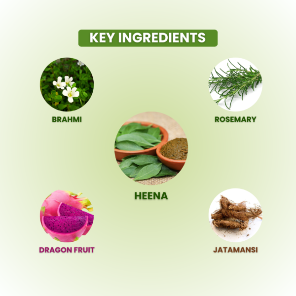 Solar Herbal Hair Color With Hair Spa